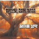 윈스타 프로 간편 설치 방법 /자동설치 방법 이미지