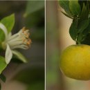 (주)피.심 이미지