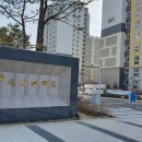 새나루12