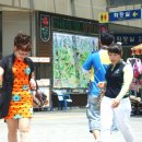 뉴월드나이트 이미지