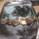 POP스토어 이미지