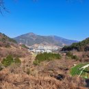 저산목장 티스토리