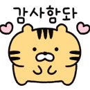 한국체대 호랑이 이미지