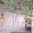 여기서놀자 이미지