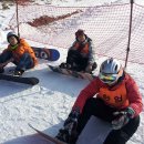 용인대한얼합기도 이미지