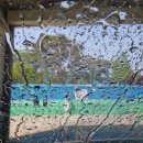 순성주유소 이미지