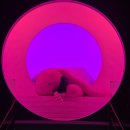 교보생명 버스정류장 | 강릉 1박2일 여행 코스 (중앙시장, 감자 닭강정, 경포 숙소 후기)