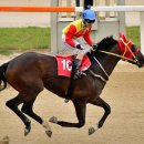 캡틴축산 이미지