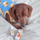 어썸펫동물병원 이미지