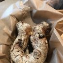 비아제주스테이 이미지