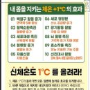 비고르바른건강 이미지