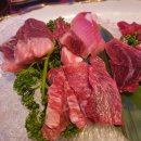 길맨참치 이미지