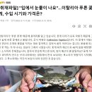 어가식품 티스토리