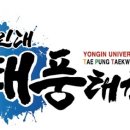용인대태풍태권도 - 강서구 가로공원로76길 38 | 용인대태풍태권도