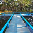 조산공원길 이미지