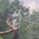 통큰딱따구리 - 광주시 경충대로 1049-18 | 종로에서 보이는 북한산 보현봉 일선사 (2026.7.9)
