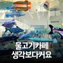 롯데몰 앞2 | 은평 롯데몰 아쿠아가든 후기, 아이랑 갈만한곳 (먹이주기 체험)