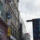 효림 | 웨딩염색 | 이철헤어커커 명동2호점 염색+클리닉 후기 (feat.효림쌤)