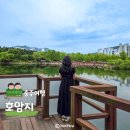 무성체육관 | 충주 가볼만한곳 호암지 산책 주차정보 근처 맛집 야상회 솔직후기