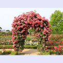 곡성-074 이미지