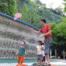 김양수「매미」 이미지