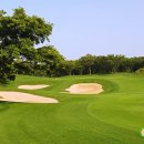 블랙스톤제주CC(대중형 18홀) 이미지