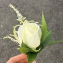 웨딩비르우엘 | [내돈내산] 대전 루이비스 부케 셀렉 + 부토니에·혼주 코사지