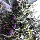 금희농장 이미지