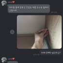 비에스물류 | 미니협탁 나의 침실을 더욱 빛내줄 비에스디자인(★오크 후기★)