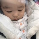 공훈고모네