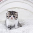 테마3빌딩 이미지