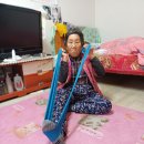 세림장 Daum카페