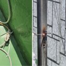 송내2동 행정복지센터 이미지