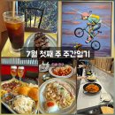 7월 첫째 주 주간 일기