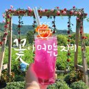 꽃차소믈리에 | [청양/카페] 대치 까치내 메리골드카페, 꽃이 머무는 자리