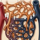 뉴타운경희한의원 이미지