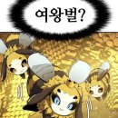 여왕벌 이미지