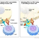 메디슨TIM | 2021년 AACR에서 주목할만한 발표들
