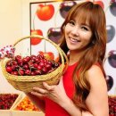 체리 이미지