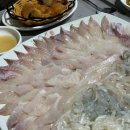 ✔️ 광안리 민락회센터 / &#39;12호 덕이상회&#39; / 회포장 내돈내산 추천 돔 도다리