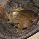 산정 낚시터 이미지