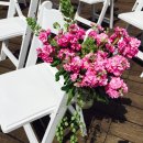 와이즈웨딩 슬로우 웨딩 페스티벌 후기 (Wisewedding Slow wedding festival)