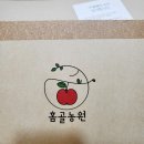 홈골 | [ 청송홈골농원 못난이 꿀사과 구입 후기 ]