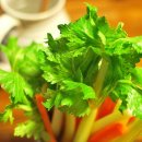 신토불이식품 이미지