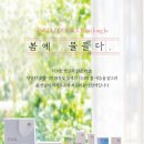 인셀덤 물들다