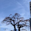 외대앞역 4번 출구 계단 밑 | [여행/일본 나고야]사카에역/히사야오도리역 근처 숙소 '호텔 케이한 나고야' 더블룸 솔직후기