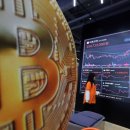 [단독]與, 스테이블 코인 법안 종합판 내놓는다 이미지