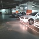 사림동262 이미지