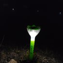 사찰몰 이미지