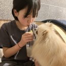 황무로, 마소로 | 휴일도 이천점 방문기🐾